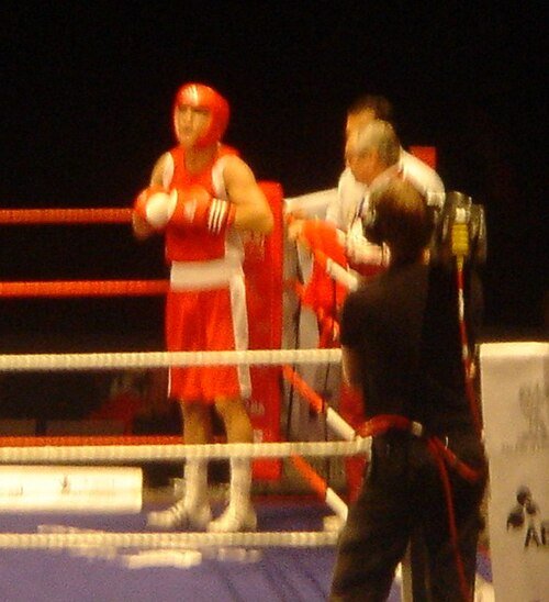 Gyula Káté