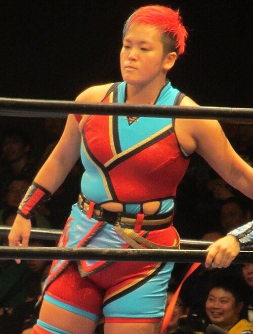 Ryō Mizunami