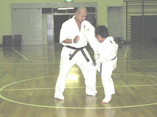 Tadanori Seki