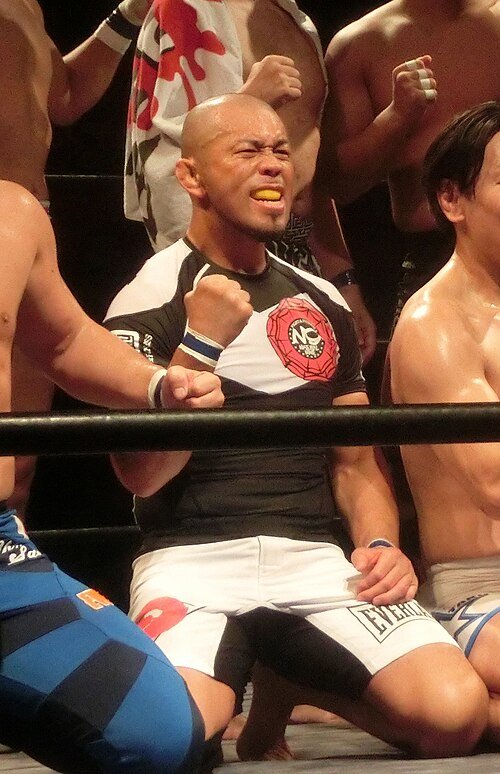 Yūji Hoshino