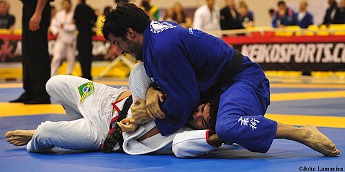 Gregor Gracie