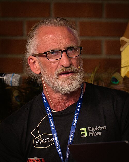 Erling Havnå