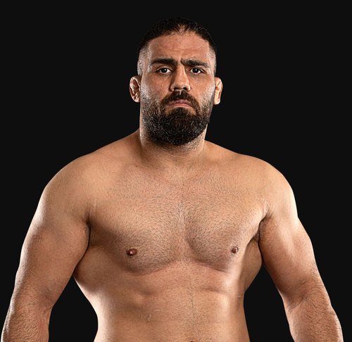 Mehdi Barghi