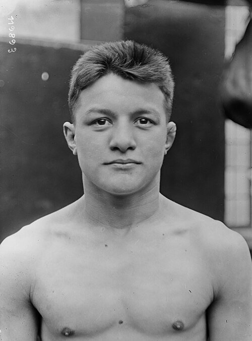 Émile Pladner