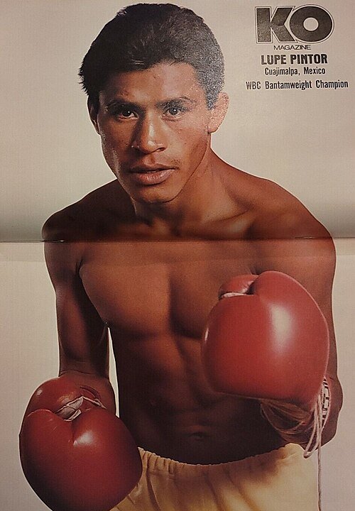 Lupe Pintor