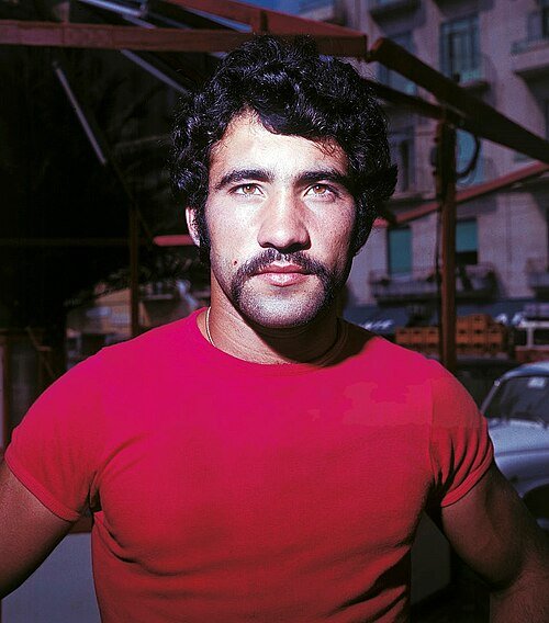 Nino Castellini