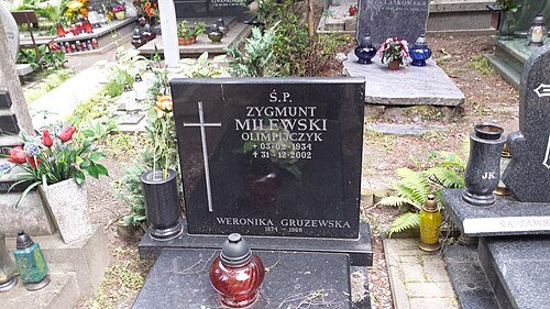 Zygmunt Milewski