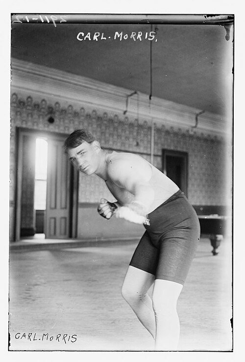 Carl E. Morris